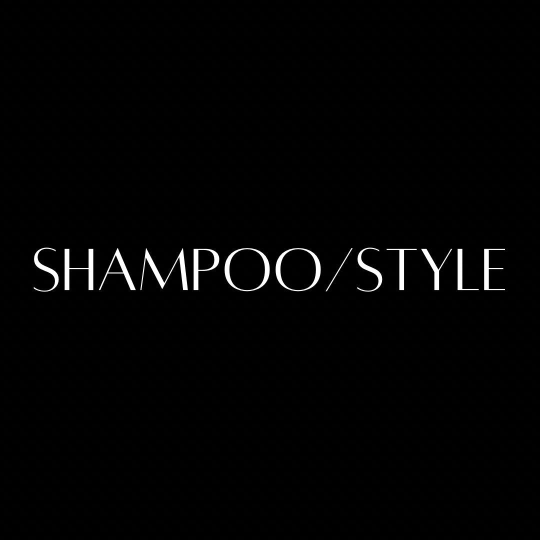 Shampoo/Style - Ashley Mariah Hair