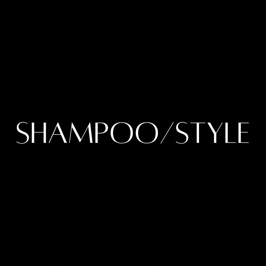 Shampoo/Style - Ashley Mariah Hair